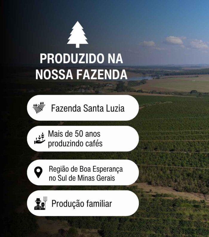 Café Guanabara Especial Microlote Uva Verde - 250 gramas - Sul de Minas - 100%Arábica - Imagem 8