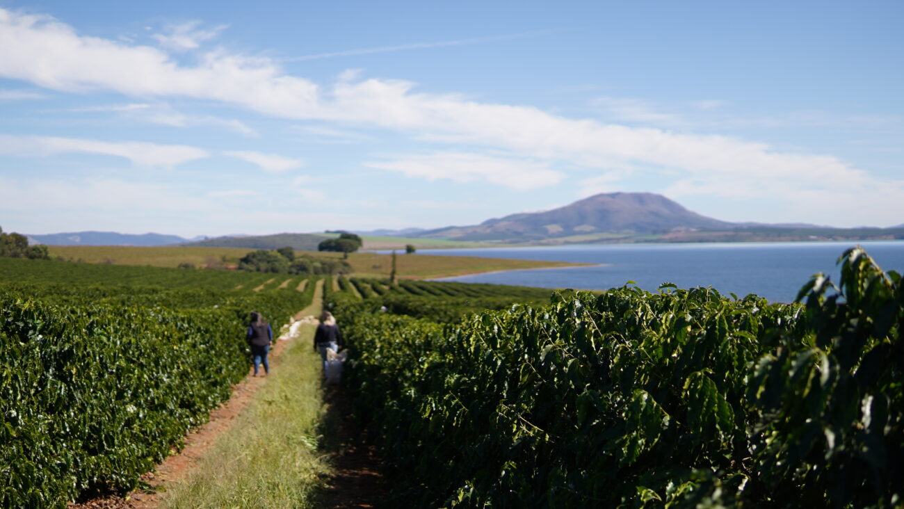 Fazenda Santa Luzia